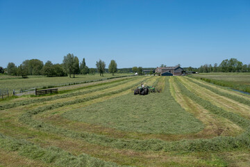 tractor in meadow with summer flowers mowing grass under blue sky in the netherlands in dutch...