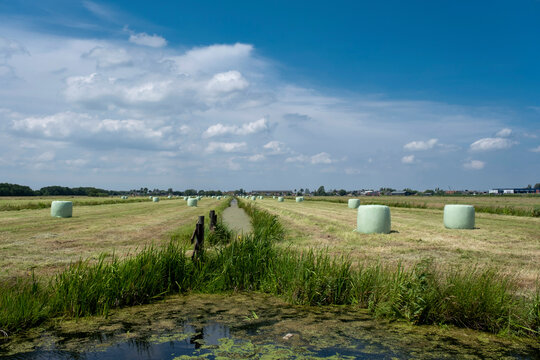 fence and meadows in waterland noord-holland in countryside north of amsterdam