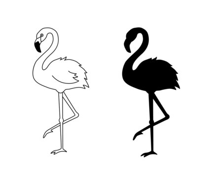 Exotic flamingos flamboyance group gathering seamless pattern. Black white outline  sketch drawing. Wading bird species feather realistic detailed vector  design illustration. Standing moving posture. Stock Vector | Adobe Stock