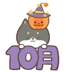 文字と黒柴犬とハロウィンのカボチャ