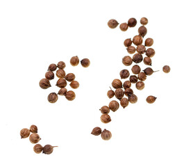 coriander seeds on white background