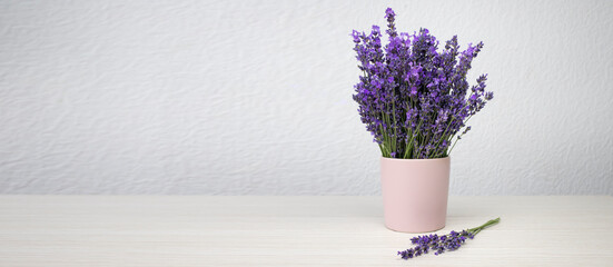 Fresh natural lavender in a pink cup against a white wall background. Side view, copy space, banner.