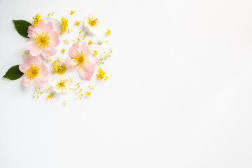 Floral creative layout on a white background. Flat lay, top view. Beautiful floral pattern in pastel colors