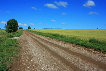 Fototapeta na wymiar Country dirt road in a green field