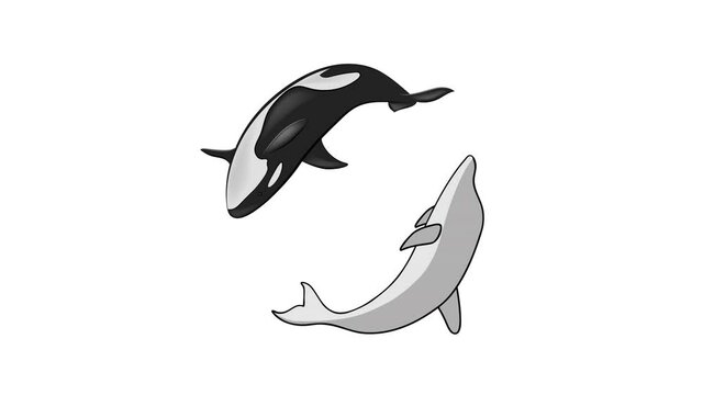 waiting time. a dolphin with a killer whale is circling. use for sites with animals. video illustration. 