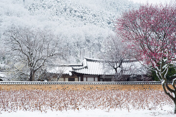 눈내린 한국의 전통가옥
