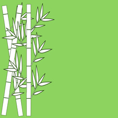 vector illustration of bamboo with green background