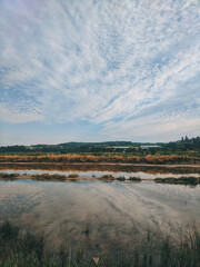Scenic view to the amazing red sunset at the Adriatic sea, coast in Slovenia at summer. View to green hills with palms and olive trees. Natural backgrounds.