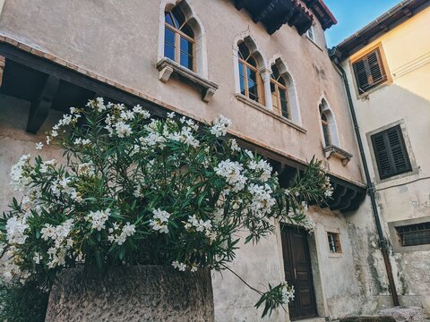 Fototapeta street in the town of old town of Koper, Slovenia. Exterior. Travel. vacation. Summer