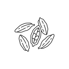 Cardamom olor line icon. Essential oils fruit seeds.