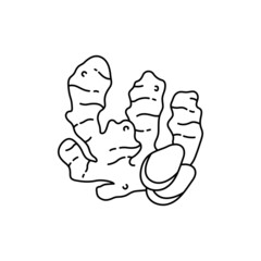 Ginger root olor line icon. Essential oils fruit seeds.
