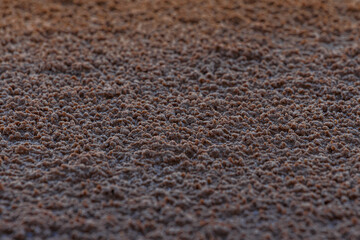Sand with salt on the large salt lake Chott el Jerid