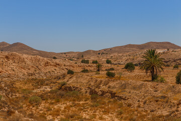Hills and rocks of the Atlas mountains with some greens