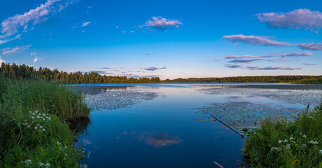 Evening landscape on the forest lake Michurinskoe