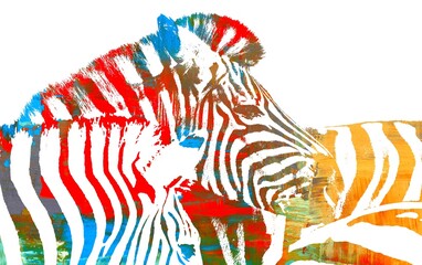 colorful close up of a Group of Zebras abstract