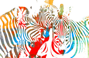 Fototapeta premium colorful close up of a Group of Zebras abstract