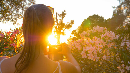 CLOSE UP: Female tourist is taking photos of an oleander bush at golden sunset.