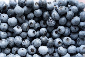 ブルーベリーのクローズアップ