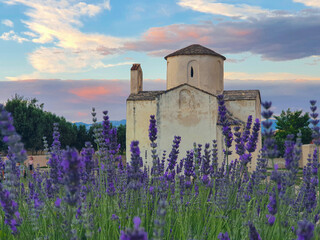 LOW ANGLE Fragrant lavender field leads up to an ancient Roman church in Croatia