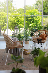 Indoor terrace interior with elegant furniture and houseplants