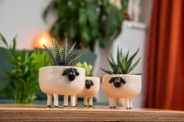 cactus in the ceramic pots with animal figures