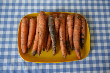 Despite adequate storage in the vegetable compartment of the refrigerator, these carrots looked so...