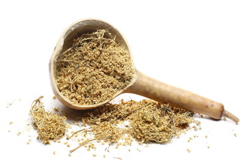 Dried elder flower pile with gourd spoon isolated on white background