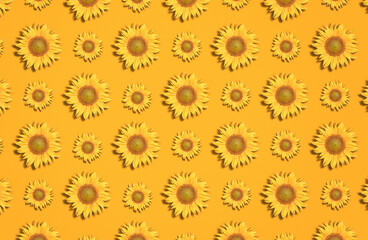 Fototapeta premium Yellow sunflowers on an orange background
