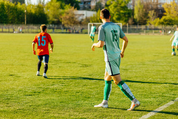 Professional soccer player, soccer player in action at the stadium, hitting the ball to reach the...