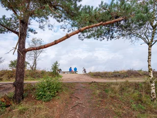 Foto auf Glas Asselche heide, Gelderland Province, The Netherlands © Holland-PhotostockNL