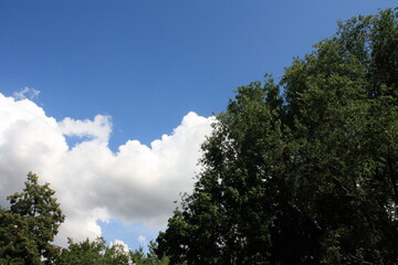 Sommerhimmel über Mannheim an einem Spätnachmittag, 2021