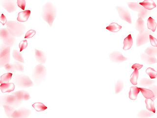 Pink sakura flower flying petals isolated on white vector background.