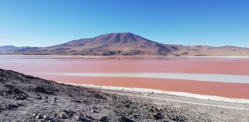 Spectacular panorama of Laguna Colorada (or Red lagoon) in Bolivia: a salt lake characterized by...