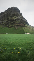 Volcanic mountains in Iceland with a green d