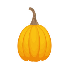 A bright autumn illustration with an image of a ripe oval-shaped pumpkin of light orange color. A ripe vegetable.A Halloween symbol. Vector illustration isolated on a white background
