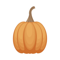 A bright autumn illustration with a picture of a ripe round-shaped pumpkin in orange color. A ripe vegetable.A Halloween symbol. Vector illustration isolated on a white background