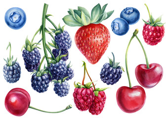 Watercolor Berries, isolated white background. Natural organic raspberry, strawberry, blackberry, blueberry and cherry