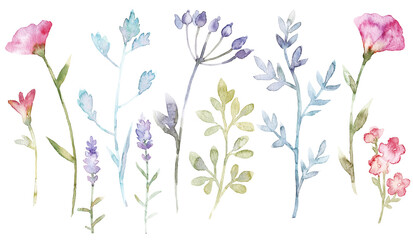Beautiful floral set with cute watercolor hand drawn abstract wild flowers. Stock illustration.