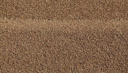 Wheat background, heap of wheat crop after harvest, selective focus