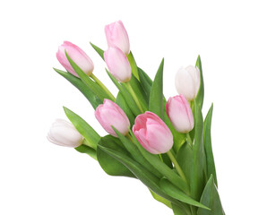 Beautiful bouquet of tulips isolated on white
