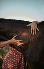 Hugs horse hands love 