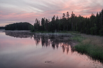 Sunrise by the lake, fog and pink sky in the early summer morning.