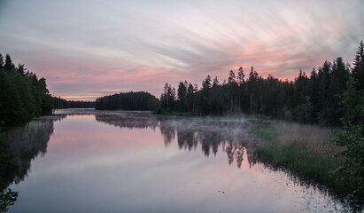 Sunrise by the lake, fog and pink sky in the early summer morning.