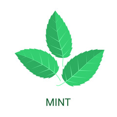 Mint leaf icon isolated on white background