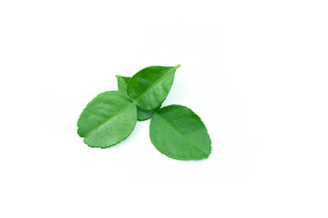 Kaffir lime leaves on white background