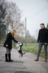 Young family couple with siberian husky dog walking in autumn park