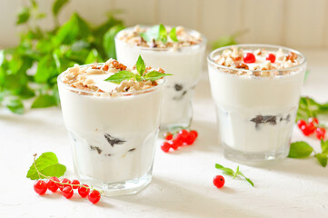 Dessert in a glass on a light background, decorated with nuts, mint leaves and berries. Creamy jelly. Parfait.
