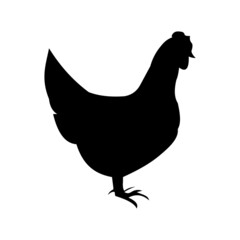 silhouette of a chicken