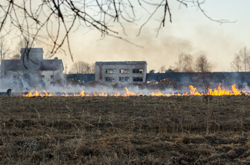 Fototapeta na wymiar Burning old, dry grass field in the spring, Firefighters work.