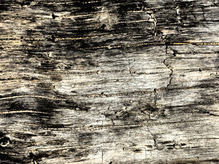 Background wood dark empty wooden         